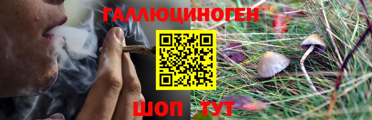 Галлюциногенные грибы GOLDEN TEACHER Славянск-на-Кубани