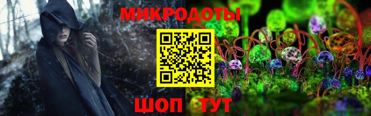 где можно купить наркотик  Вход с VPN  Славянск-на-Кубани  Псилоцибиновые грибы MAGIC MUSHROOMS 